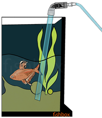 Menjava akvarijske vode - fishbox