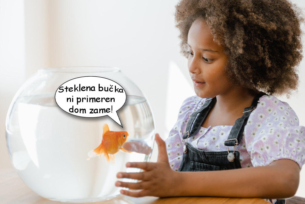 Steklena bučka ni primeren akvarij za ribice - fishbox