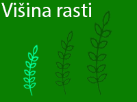 Višina rasti: NIZKA