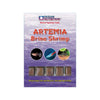 Solinski rakci (Artemia)