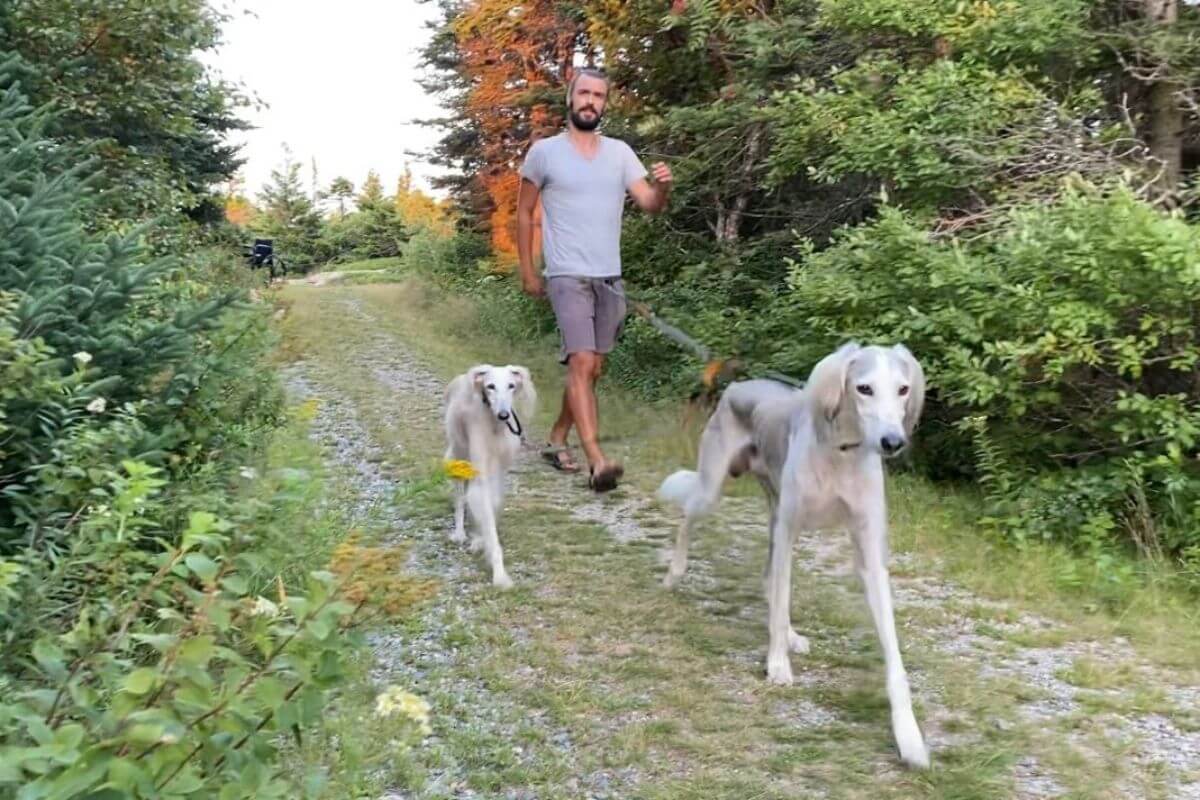 dog-friendly hikes