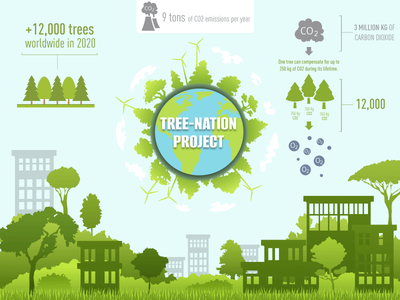 Tree-Nation project