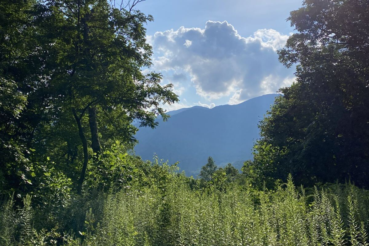 Blue Ridge Mountains