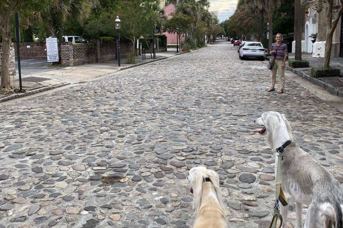 Charleston historic downtown