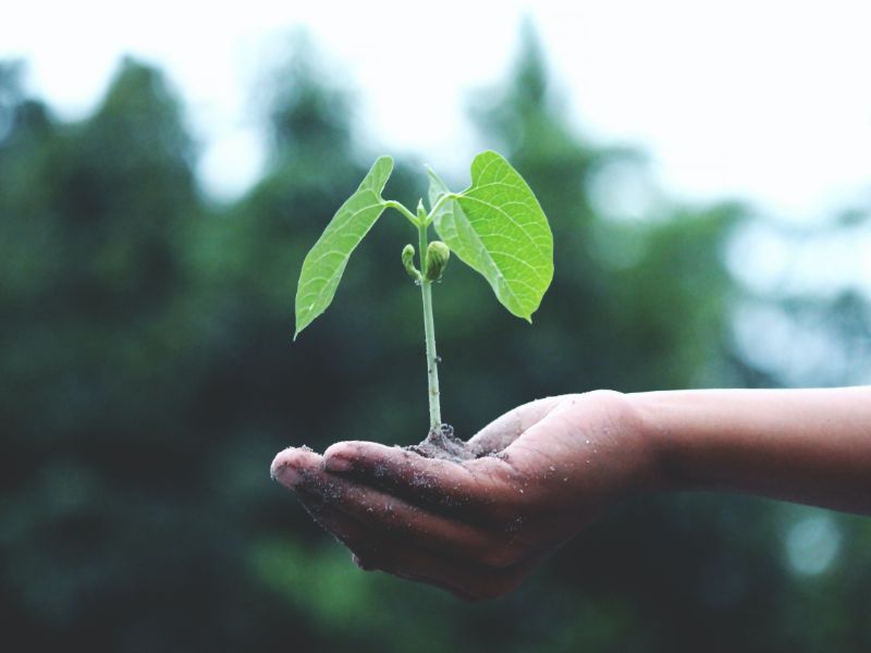 actividades de concientización ecológica