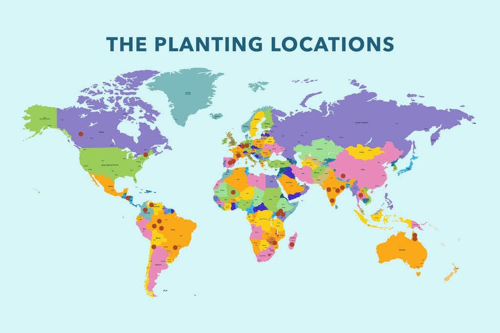 tree planting locations