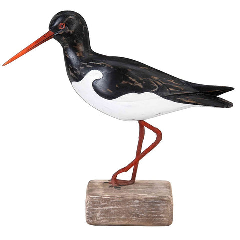 oystercatcher