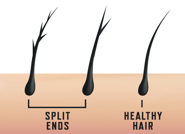 beard-hair-split-ends-vs-healthy-hair