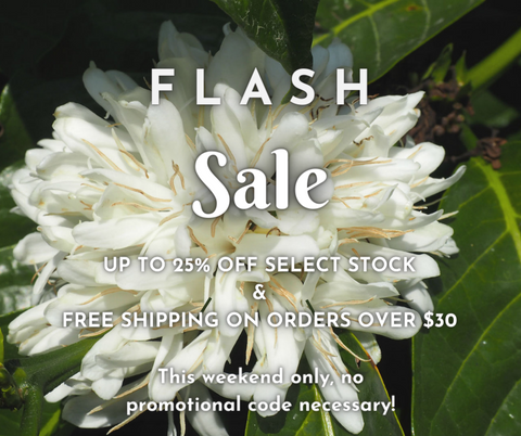 Flash sale this weekend only!