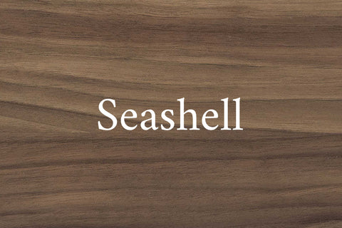 Seashell on Walnut