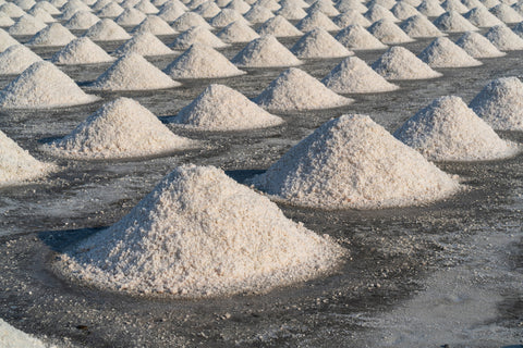 dead sea salt composition after harvest the salt