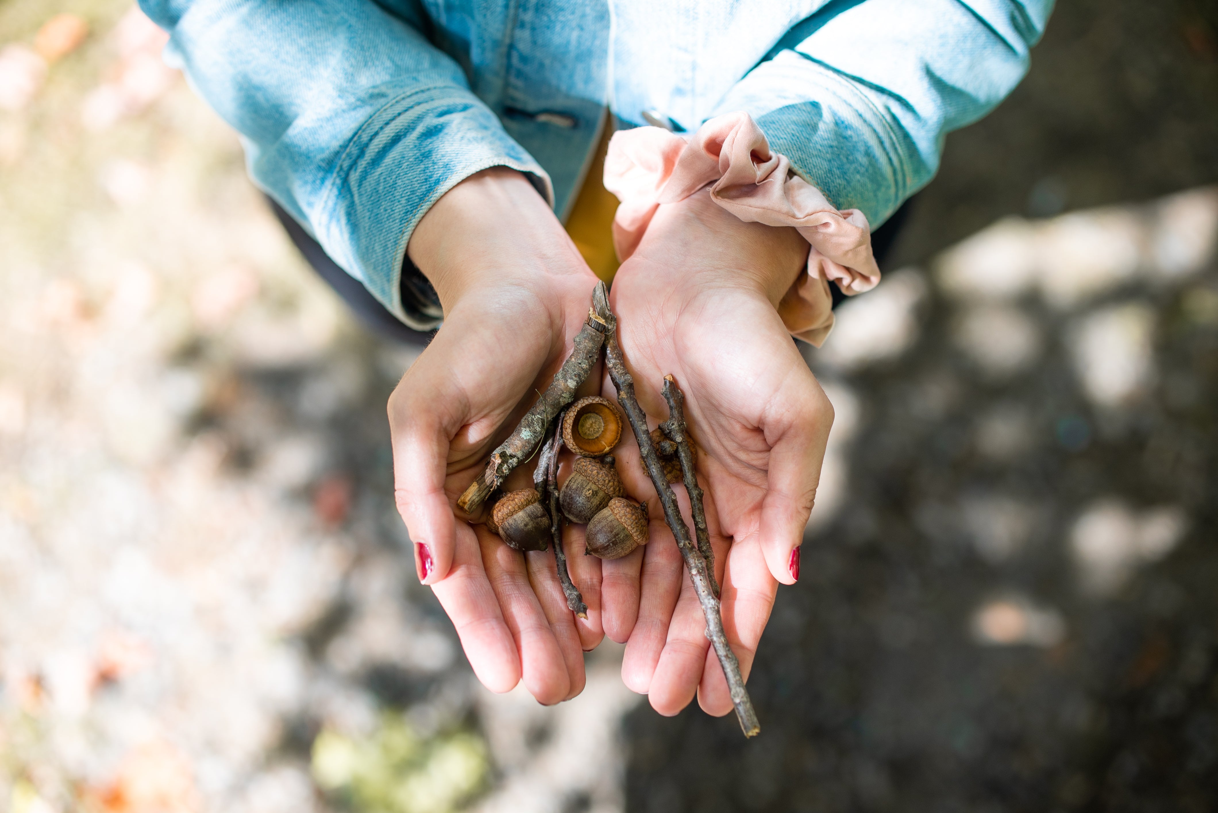 Hands Holding sticks