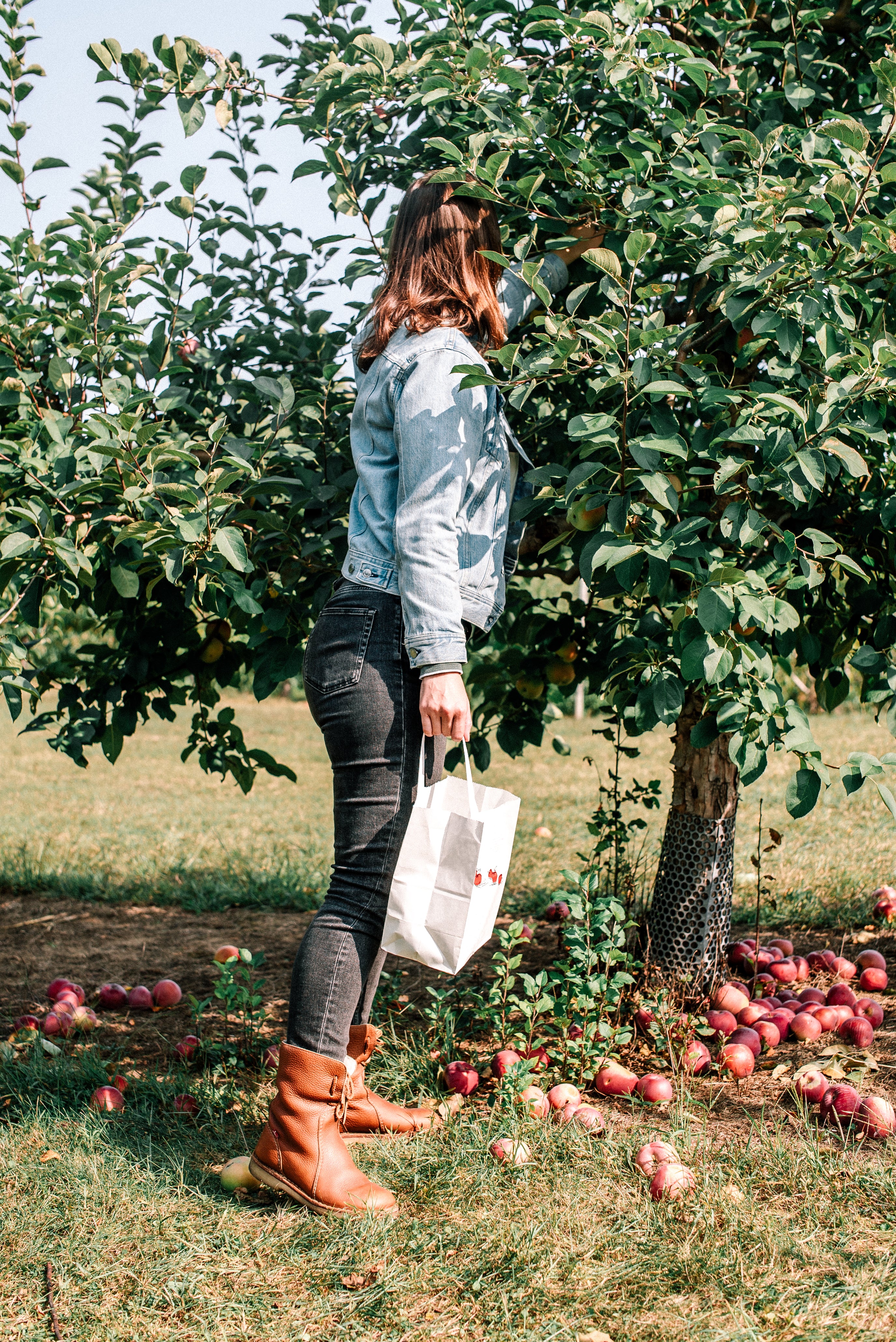 Picking Apple