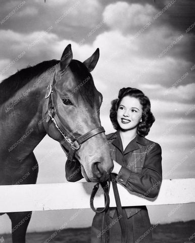 seabiscuit shirley temple