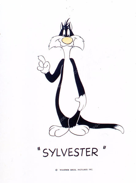 Animated Character Sylvester The Cat 35m 1816 Abcdvdvideo