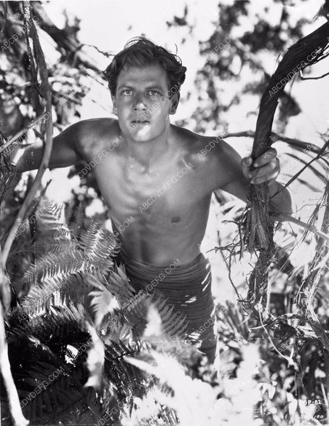 Shirtless Joel Mccrea Classic Film The Most Dangerous Game 4b09 212 Abcdvdvideo 