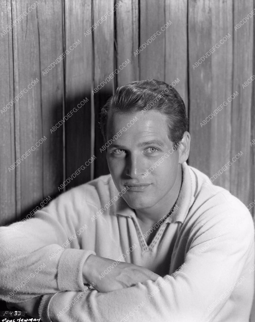 Handsome Paul Newman Portrait 8b4 105 Abcdvdvideo