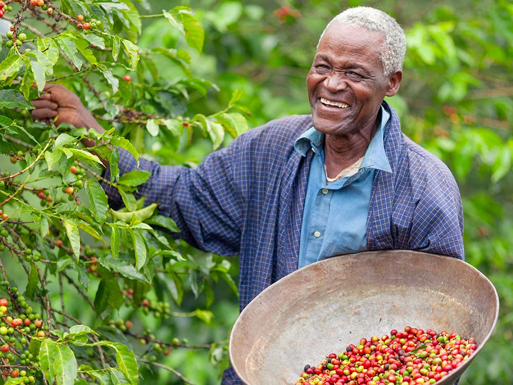 organic coffee farmer