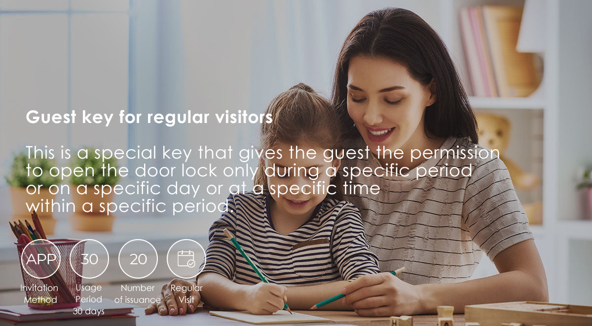 Solity Smart Home Guest Key