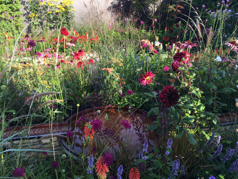 Finding Our Way: An NHS Tribute Garden at RHS Chelsea Flower Show 2021