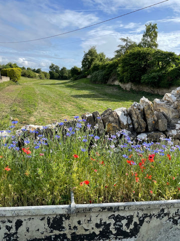 Image of a dry stone wall with a field behind