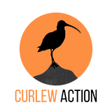 Curlew Action Trust logo