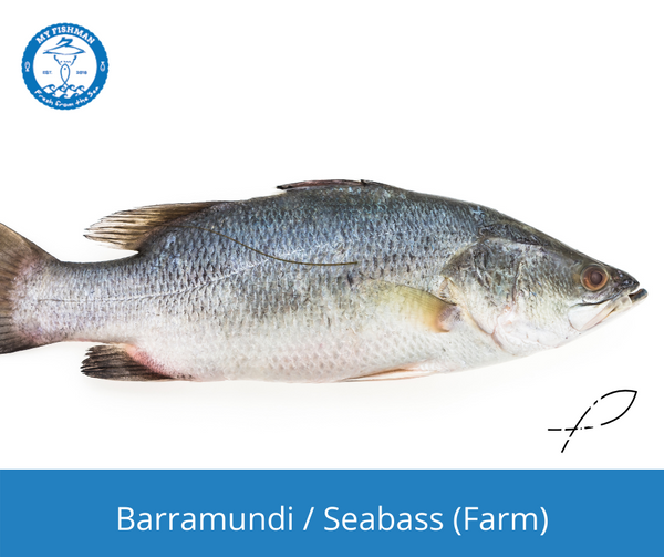 Seabass in malay