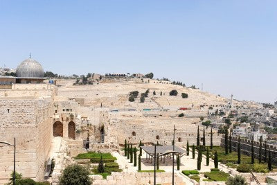 mount of olives jesus