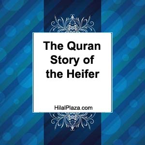 quran stories ibn kathir