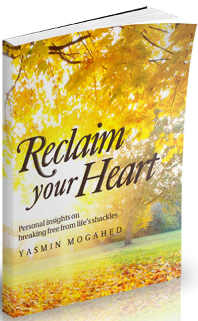 reclaim your heart book buy