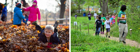 Stanley Park kids birthday party