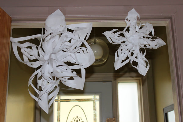 Frozen snowflakes craft