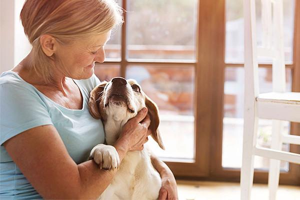 is fabric softener bad for dogs