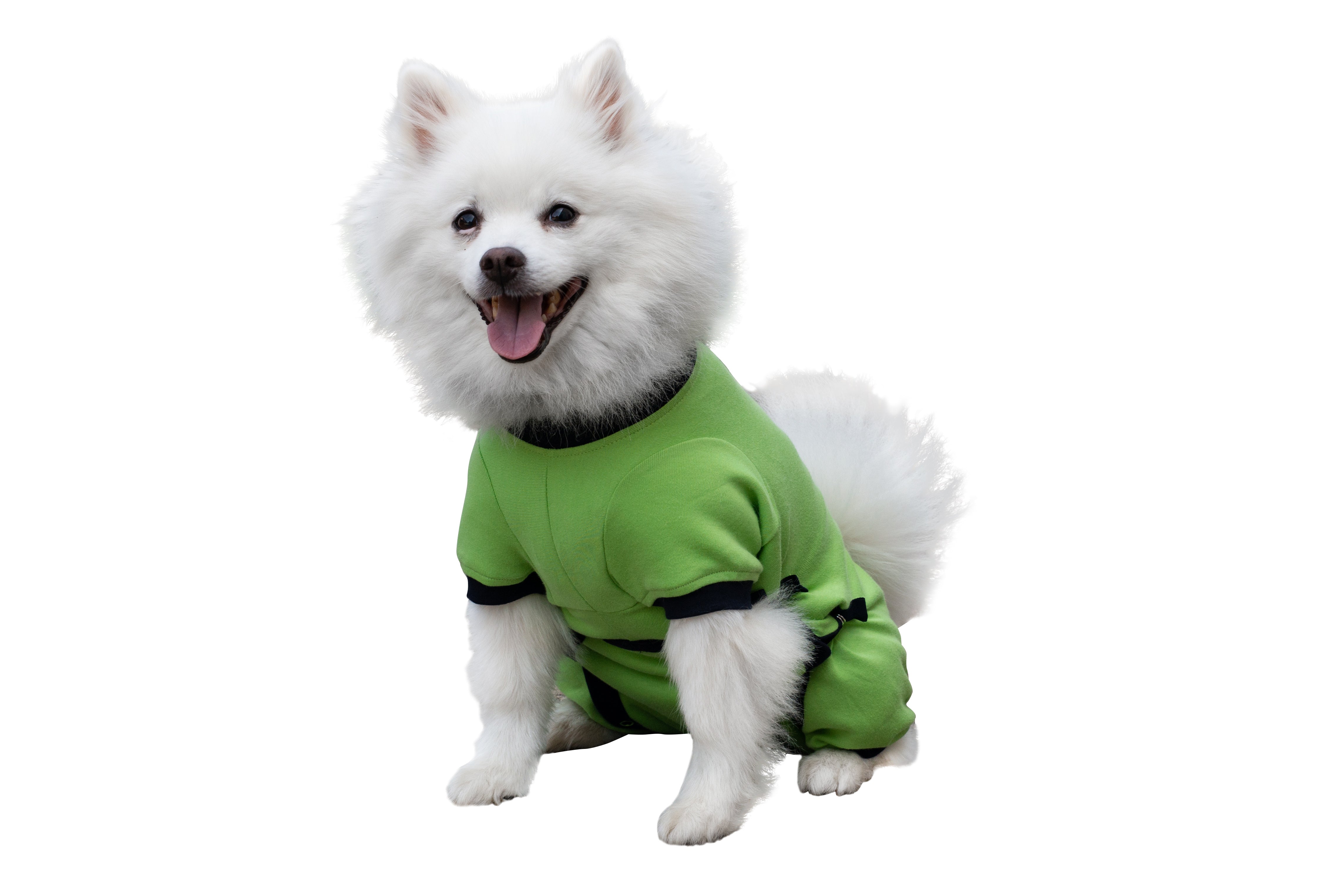 Tulane's Closet Post Surgery Dog Onesie Keep