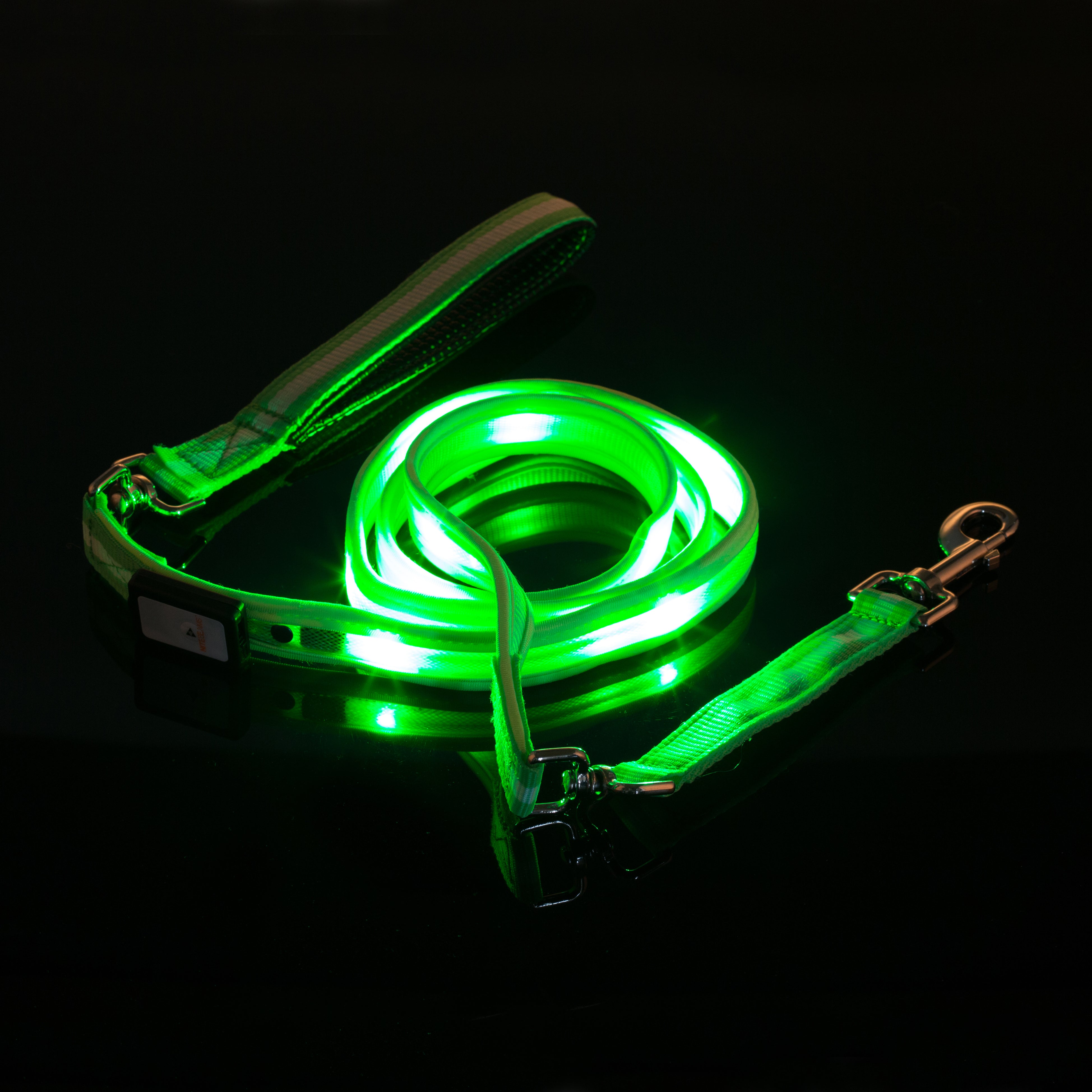 lighted dog collars