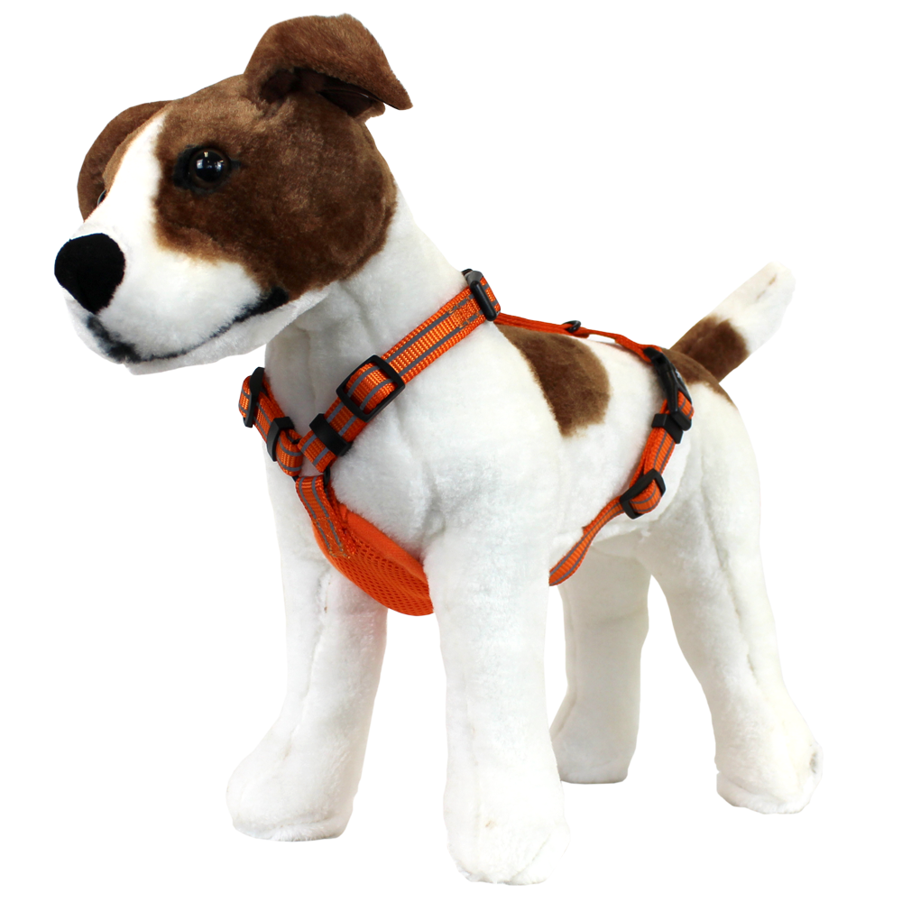 alcott dog harness