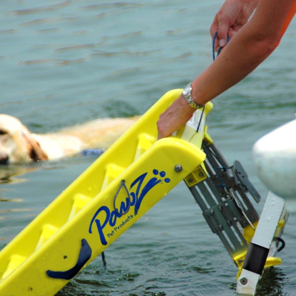 paws aboard doggy boat ladder and ramp