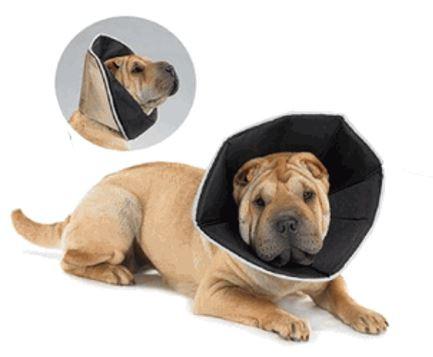 comfy cone dog collar