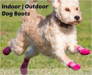 Pawks Anti-Slip Dog Socks 