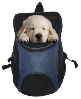 front pet carrier