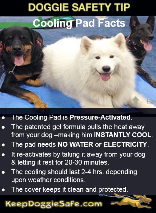 are dog cooling pads safe