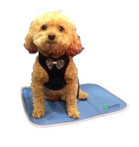 are dog cooling pads safe