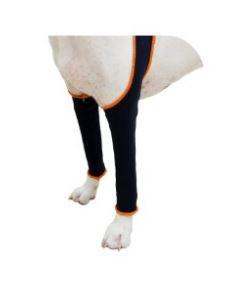 dog leggings for back legs