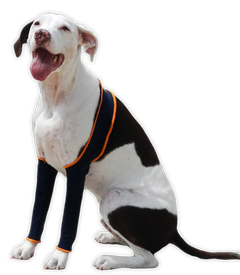 dog leggings for back legs