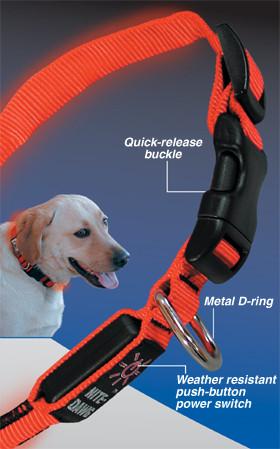 are led dog collars safe