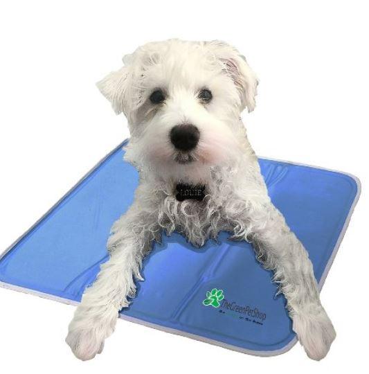 the green pet shop self cooling pet pad large