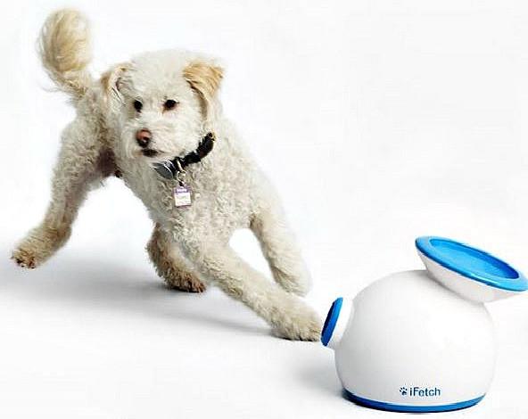 dog and ball machine