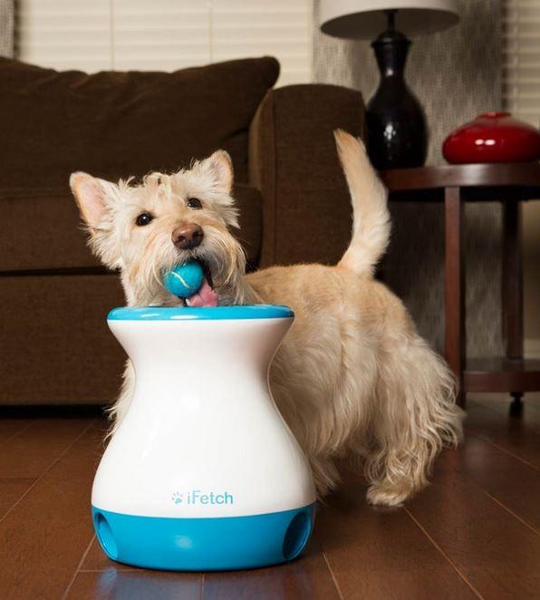 interactive pet toy