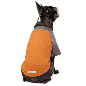 insect shield dog shirt