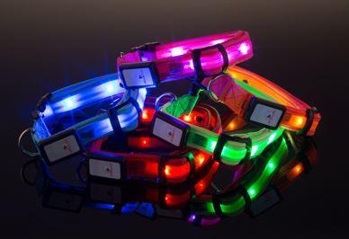 lighted dog collars